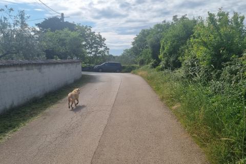 Stavbno zemljišče Krnica, Marčana, 9.156m2