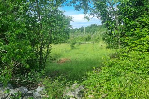 Stavbno zemljišče Krnica, Marčana, 9.156m2