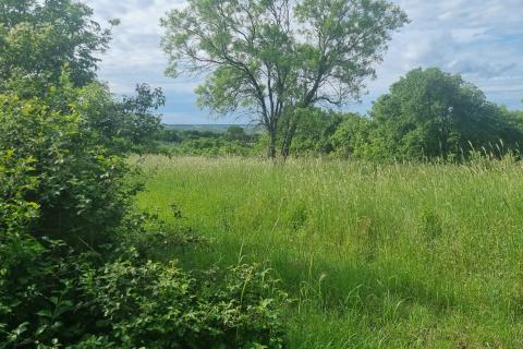 Stavbno zemljišče Krnica, Marčana, 9.156m2