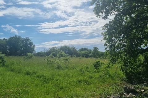 Stavbno zemljišče Krnica, Marčana, 9.156m2