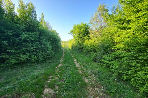 Niet bouwgrond Bale, 2.141m2