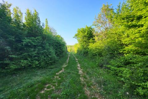 Niet bouwgrond Bale, 2.141m2