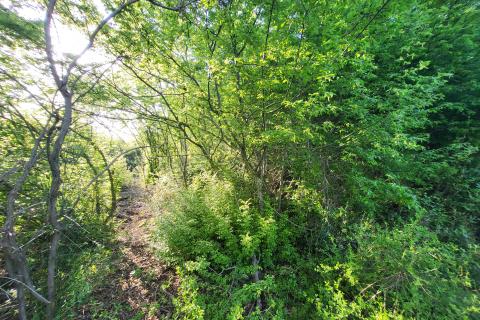 Niet bouwgrond Bale, 2.141m2