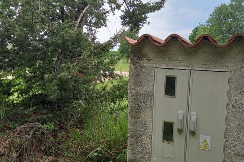 Istra, Vodnjan, imanje s maslinama i dozvolom za gradnju