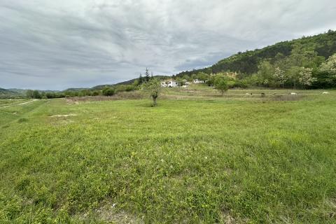 ISTRIA, GOLOGORIČKI DOL - Building plot 2618 m2
