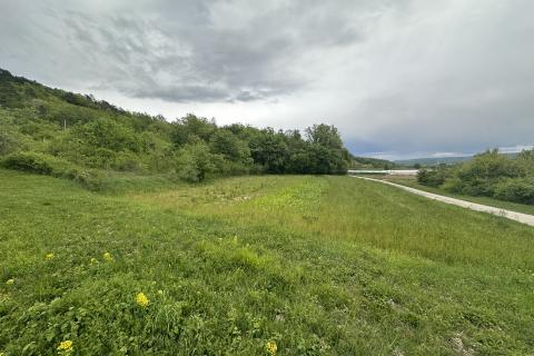 ISTRIA, GOLOGORIČKI DOL - Building plot 2618 m2