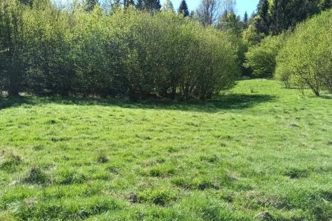 Земельный участок нестроительного назначения Sunger, Mrkopalj, 17.642m2