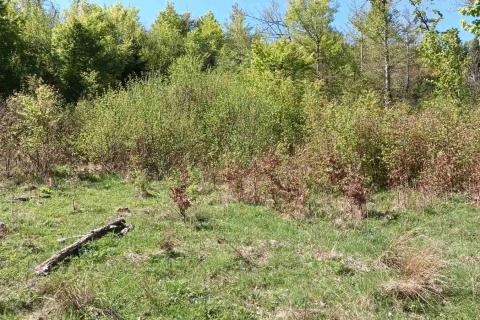 Земельный участок нестроительного назначения Sunger, Mrkopalj, 17.642m2