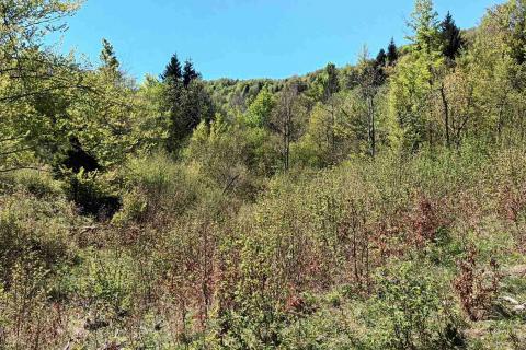 Земельный участок нестроительного назначения Sunger, Mrkopalj, 17.642m2