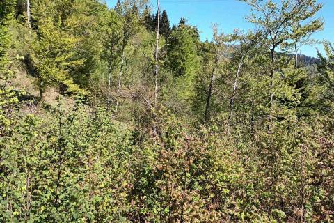 Земельный участок нестроительного назначения Sunger, Mrkopalj, 17.642m2