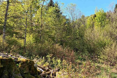 Земельный участок нестроительного назначения Sunger, Mrkopalj, 17.642m2