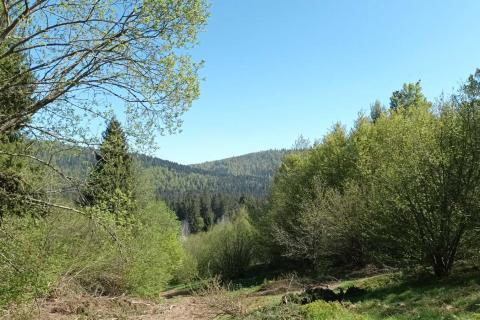 Земельный участок нестроительного назначения Sunger, Mrkopalj, 17.642m2