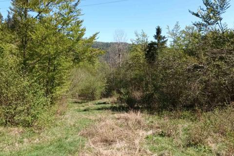 Земельный участок нестроительного назначения Sunger, Mrkopalj, 17.642m2