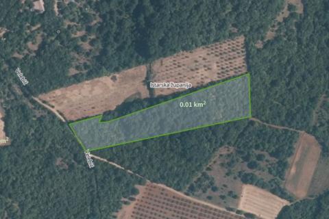 Stavbno zemljišče Bale, 11.800m2