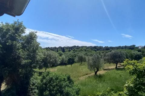 Istra,Pula predgrađe-kuća s dvorištem