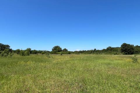 Gradina - okolica, poljoprivredno zemljište ukupne kvadrature 18 670m2