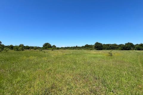 Gradina - okolica, poljoprivredno zemljište ukupne kvadrature 18 670m2