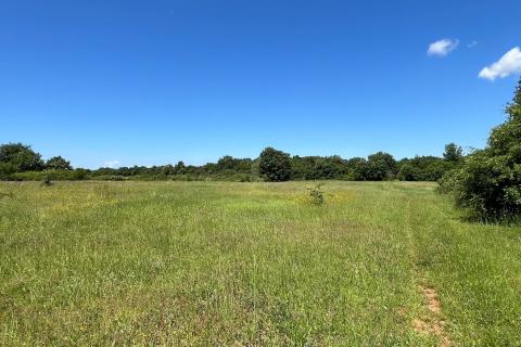 Gradina - okolica, poljoprivredno zemljište ukupne kvadrature 18 670m2