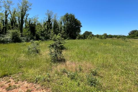 Gradina - okolica, poljoprivredno zemljište ukupne kvadrature 18 670m2