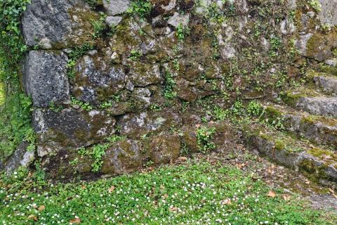 Moščenička draga, Sveti Anton - starina na 1652 m2 