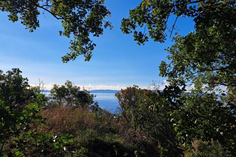 Bauland Randići, Kostrena, 1.053m2