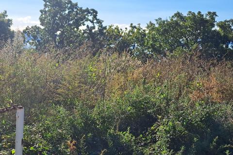 Bauland Randići, Kostrena, 1.053m2