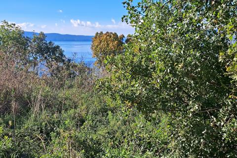 Bauland Randići, Kostrena, 1.053m2