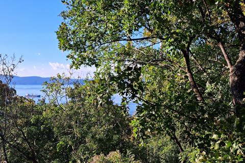 Bauland Randići, Kostrena, 1.053m2