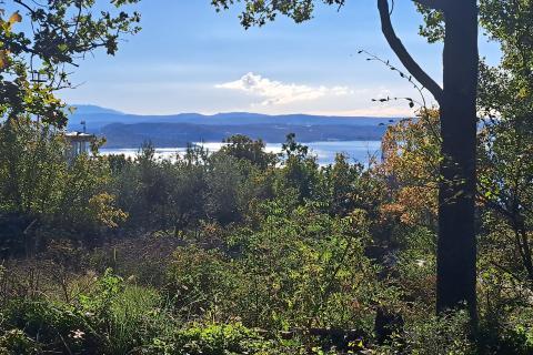 Bauland Randići, Kostrena, 1.053m2