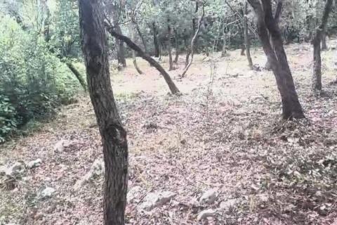 Istra, Kavran, negrađevinsko zemljište 1. red do mora