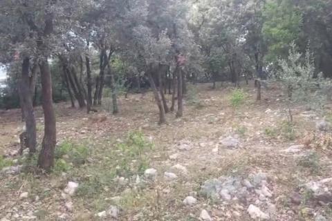 Istra, Kavran, negrađevinsko zemljište 1. red do mora