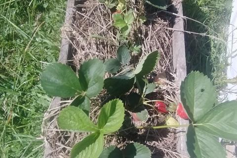 Stavbno zemljišče Velika Jamnička, Pisarovina, 4.842m2