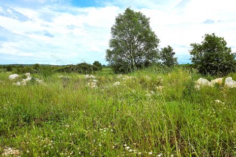 Stavbno zemljišče Umag, 506m2