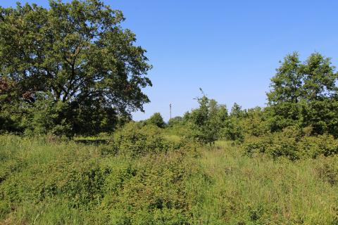 Niet bouwgrond Štifanići, Poreč, 3.626m2