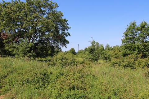 Niet bouwgrond Štifanići, Poreč, 3.626m2