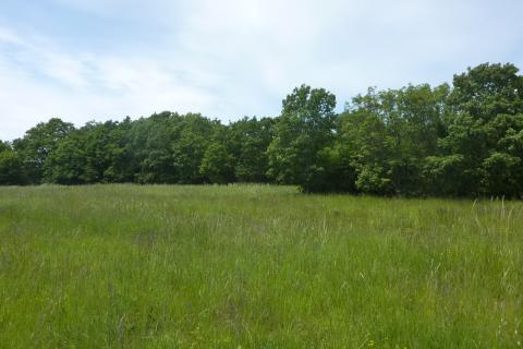 Povoljno poljoprivredno zemljište u Štifanićima