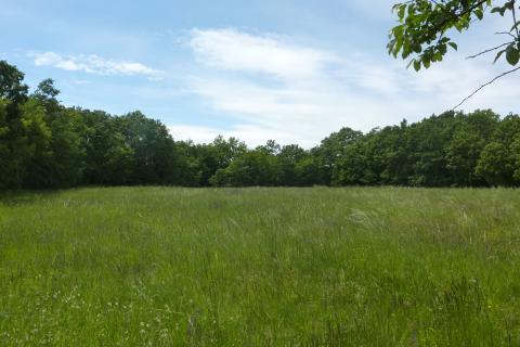 Povoljno poljoprivredno zemljište u Štifanićima