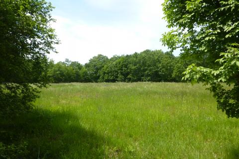 Povoljno poljoprivredno zemljište u Štifanićima