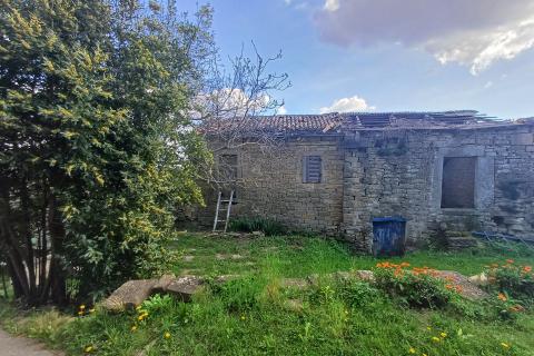 Istra, Momjan - autohtona starina