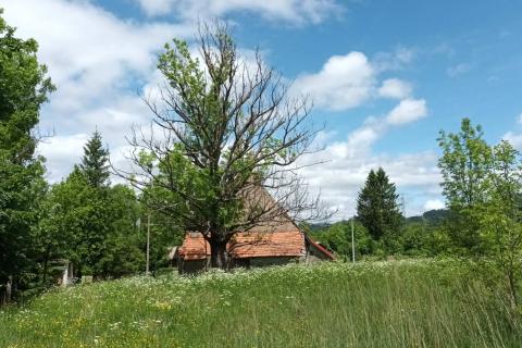 Bauland Lič, Fužine, 2.594m2