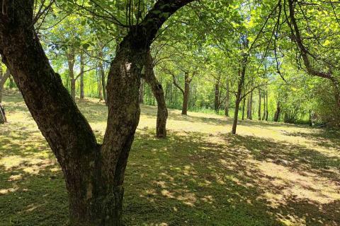 Bauland Lič, Fužine, 2.594m2