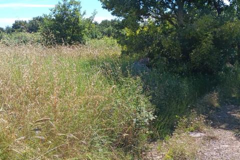 Gradina, Sveti Lovreč, 39.182m2