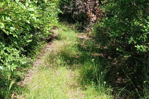 Gradina, Sveti Lovreč, 39.182m2