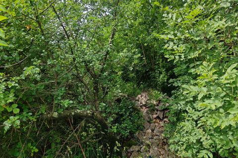 Terreno non edificabile Tonžino, Rijeka, 2.088m2