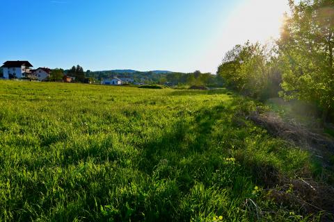 Ozalj; Trška - građevinsko zemljište 9227 m2 uz rijeku Kupu idealno za seoski turizam