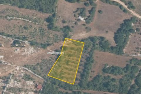 Istra, Rovinj - maslinik nadomak Rovinja 2640 m2