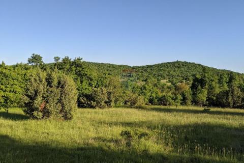 Istra, Rovinjsko Selo - Oranica 2260 m2