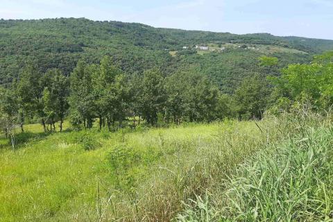 Stavbno zemljišče Motovun, 2.157m2