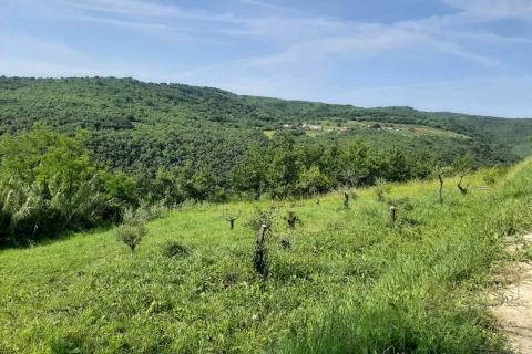Stavbno zemljišče Motovun, 2.157m2