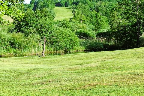 Ogulin , Modruš - Građevinsko - poljoprivredni teren sa ruševinom